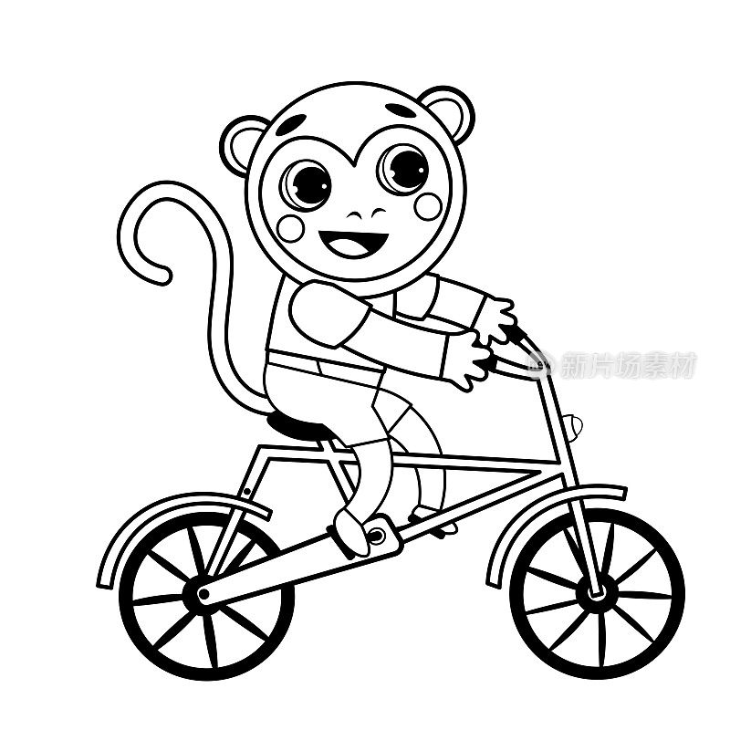 Coloring page outline of cartoon monkey on bicycle. Vector image on white background. Coloring book of transport for kids.
